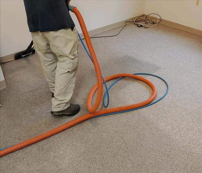 carpet cleaning before & after