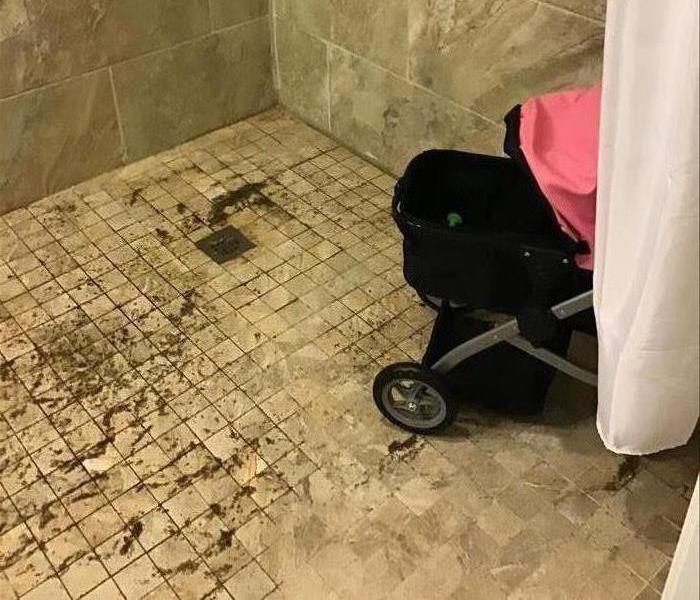 feces on a tile shower floor