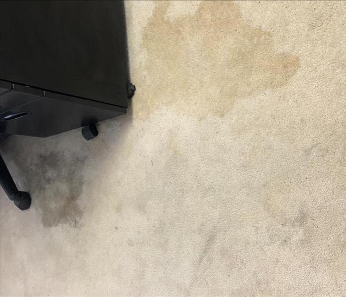 water stain on cream colored carpet